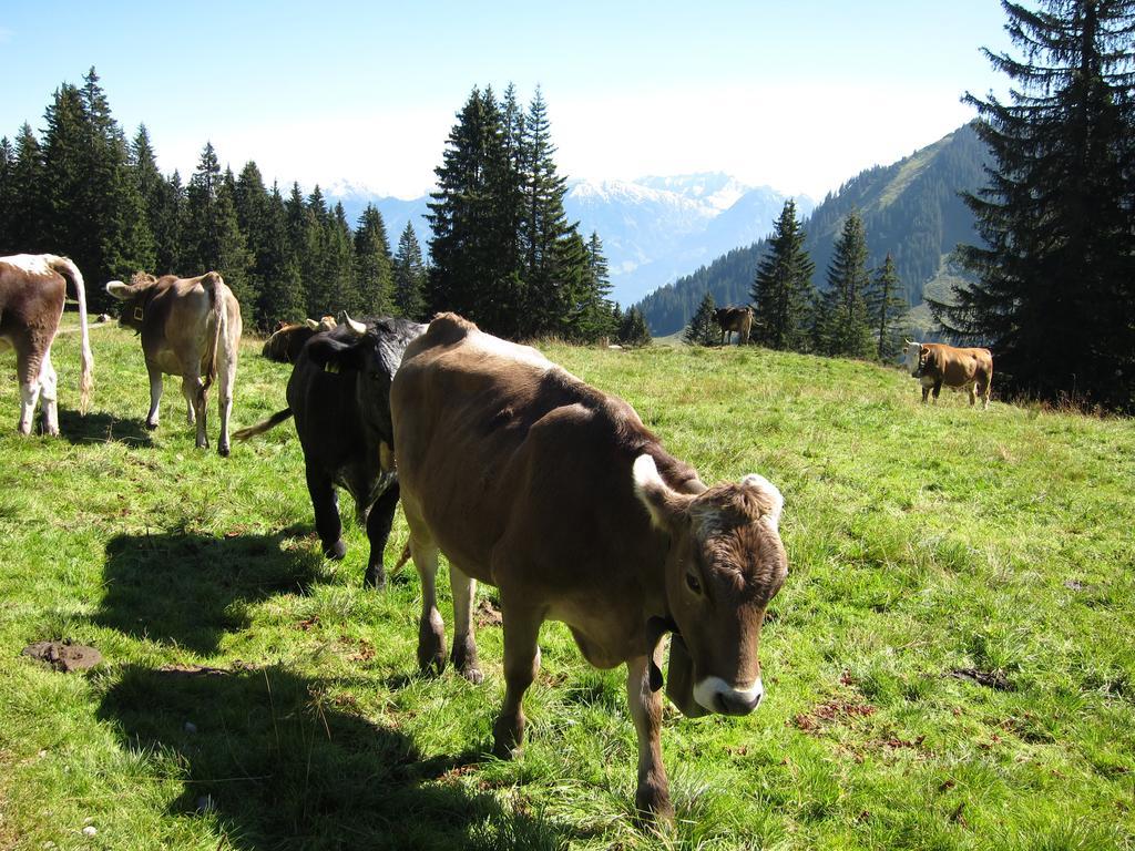 Haus Aigner Apartment Fischen im Allgaeu Ruang foto