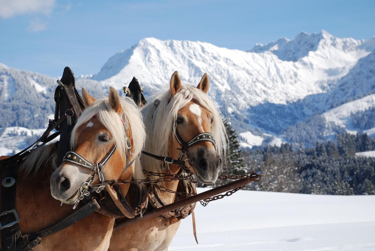 Haus Aigner Apartment Fischen im Allgaeu Bagian luar foto